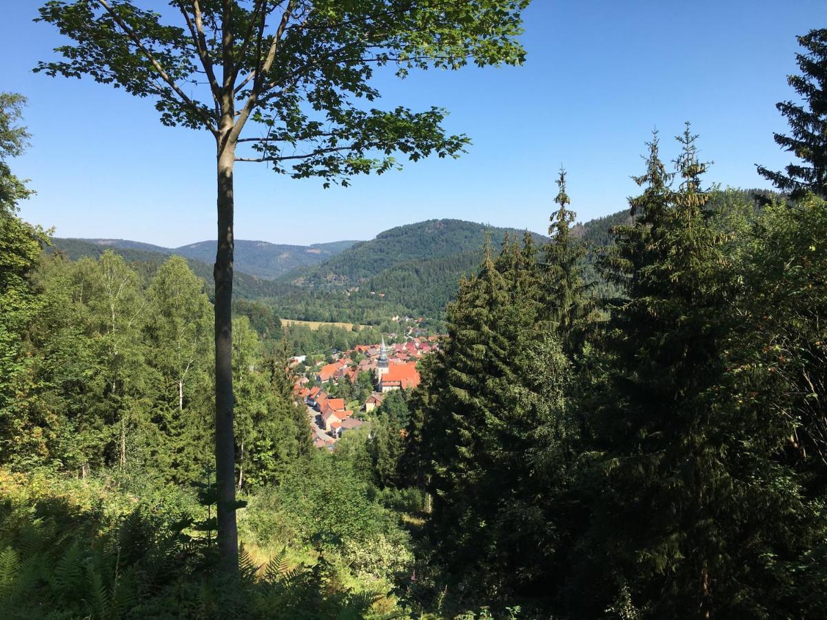 Ferienwohnung Hahnenklee Goslar Exteriör bild